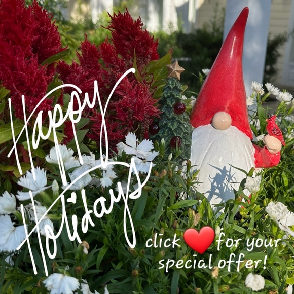 "❤️" for Offer! - Picture 1 of 3